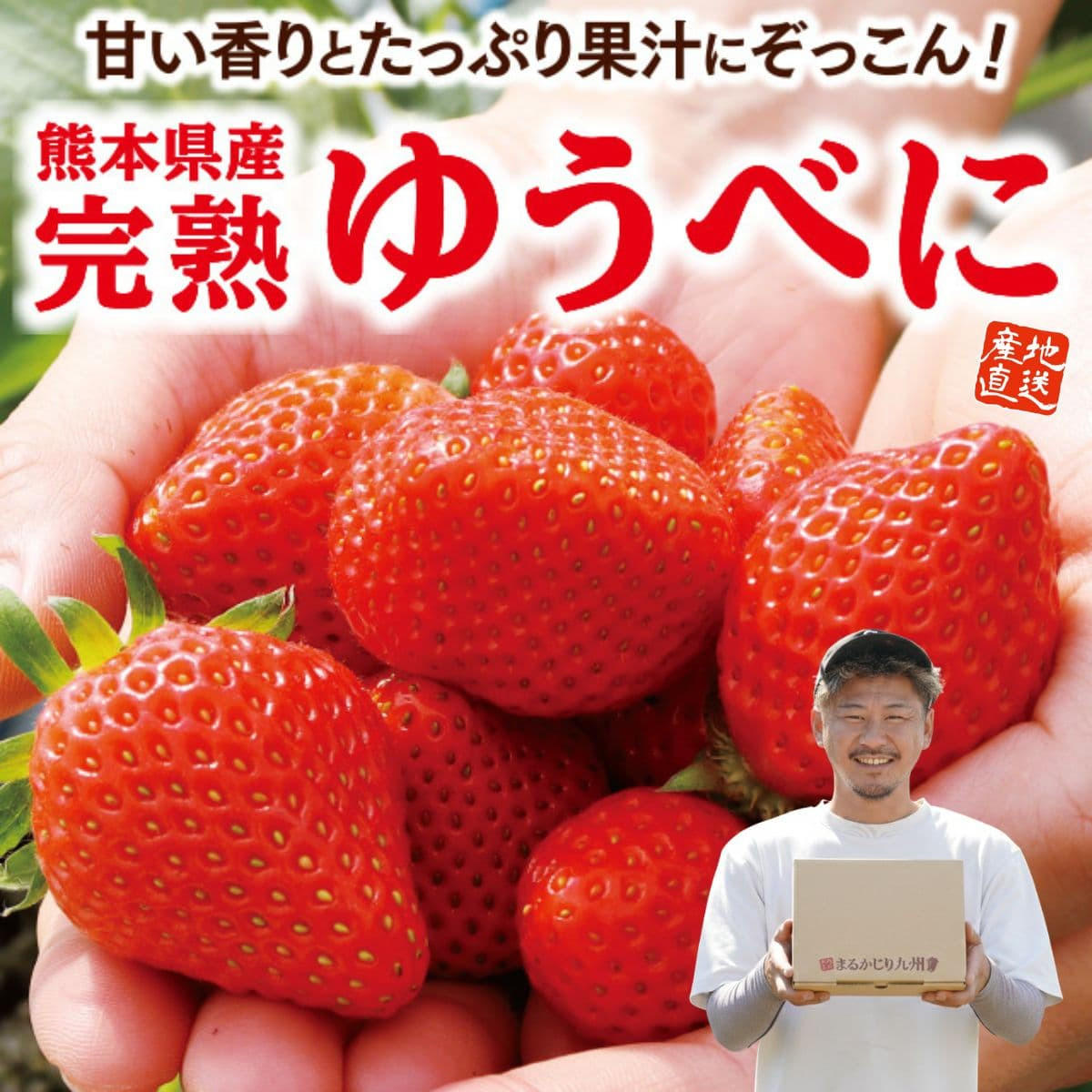 熊本県産「完熟ゆうべに」 1箱（約350g）