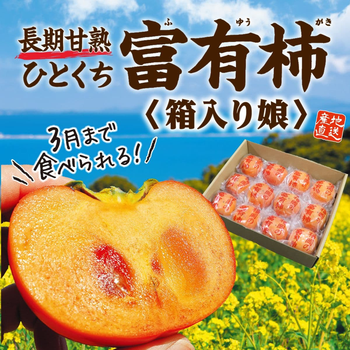 長期甘熟 富有柿（箱入り娘）（Sサイズ約2kg）