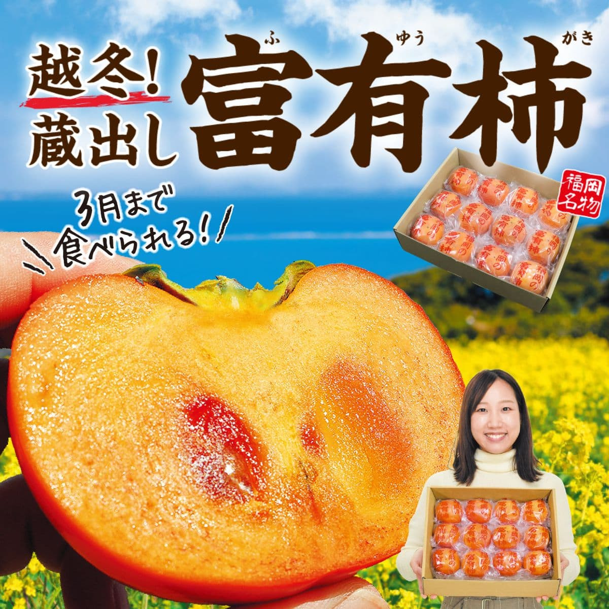 長期甘熟 富有柿（箱入り娘）（Sサイズ約2kg）
