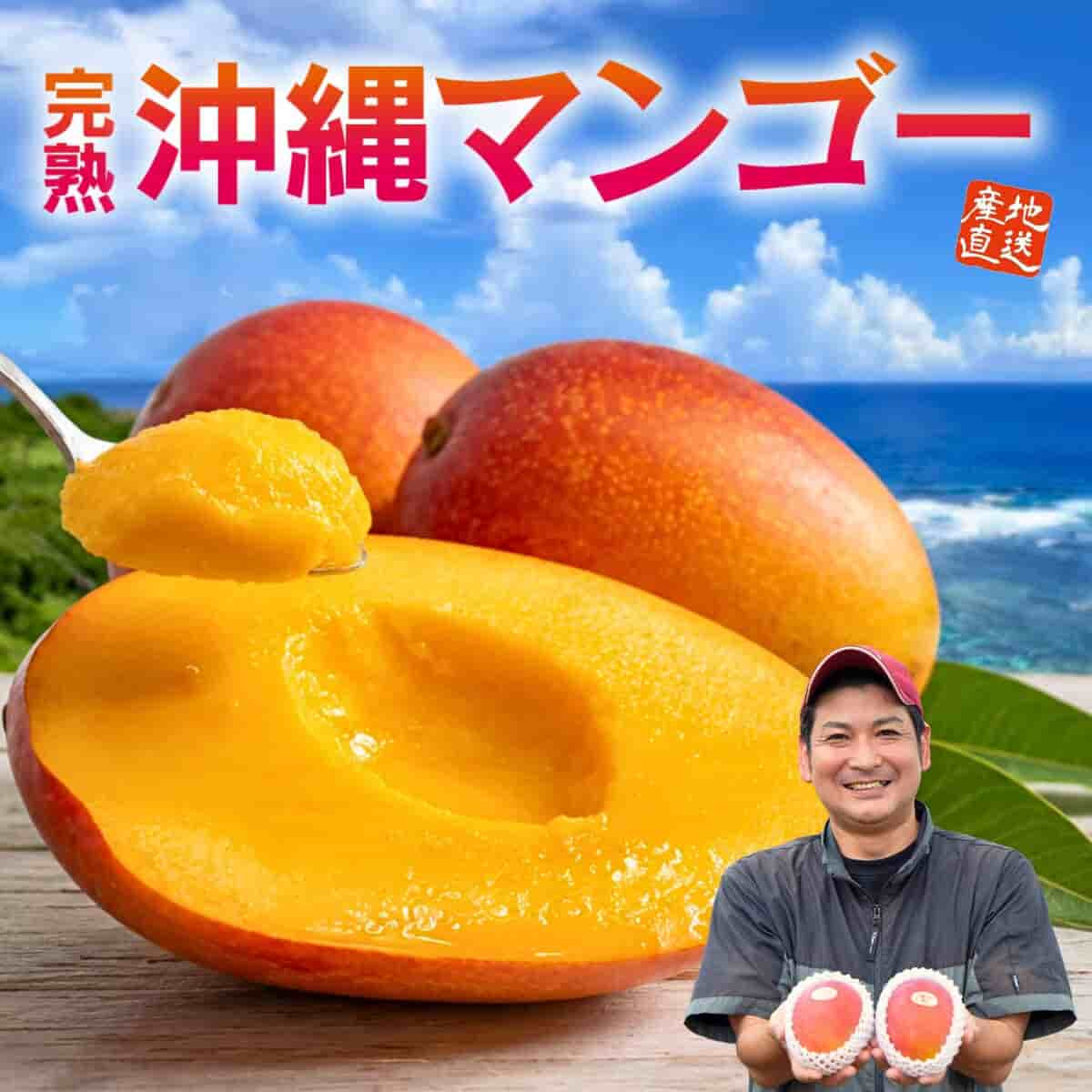 沖縄県産「完熟 沖縄マンゴー」（約1kg）