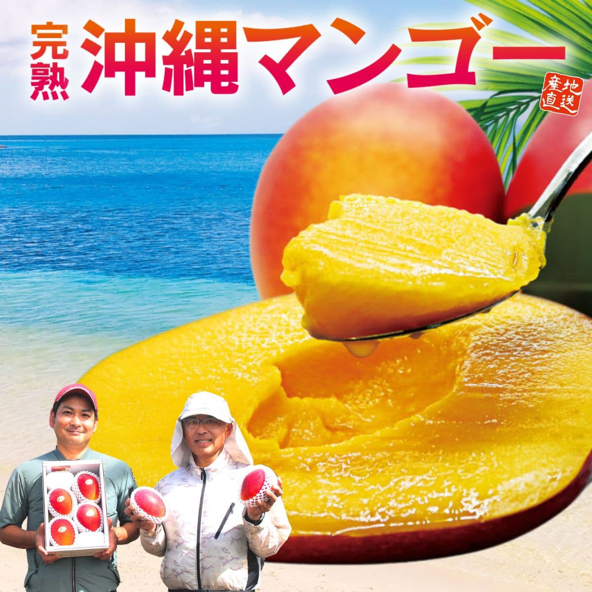 沖縄県産「完熟 沖縄マンゴー」（約1kg）