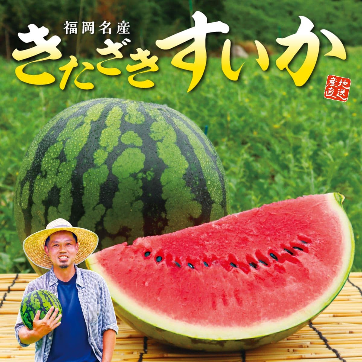 福岡名産「きたざきすいか」（6～7kg・Lサイズ）