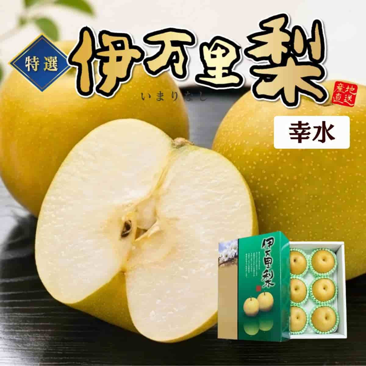 佐賀県産　特選「伊万里梨」（幸水）（約2.5kg）