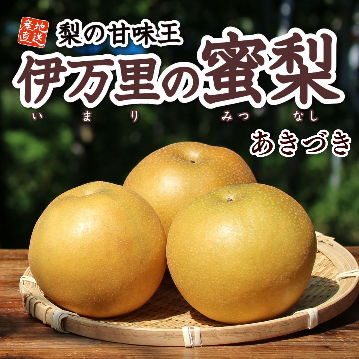 佐賀県産「伊万里の蜜梨」あきづき（約2㎏）※web限定