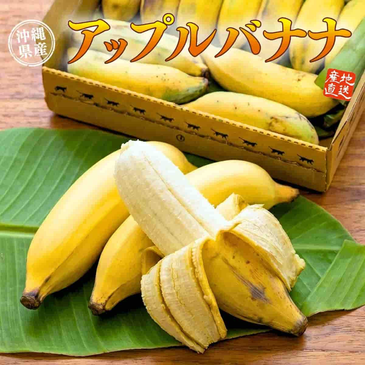 【定期便8月】沖縄県産「アップルバナナ」（約1kg）