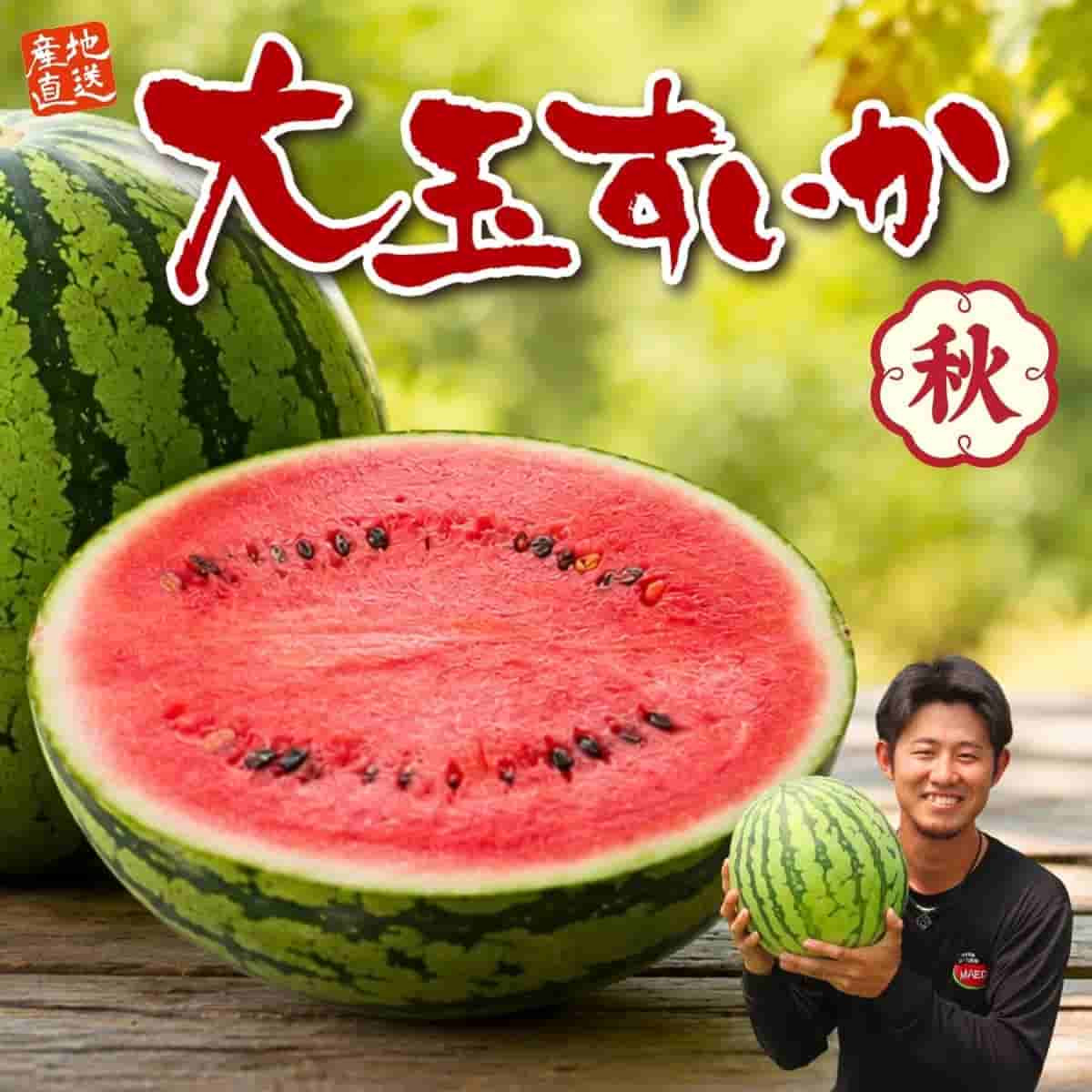 熊本名産「大玉すいか」秋（1玉：7～8kg・2Lサイズ）