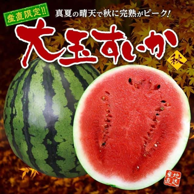 熊本名産「大玉すいか」秋（1玉：7～8kg・2Lサイズ）