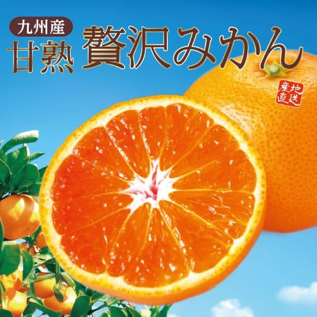 九州産「甘熟贅沢みかん」（約2kg）