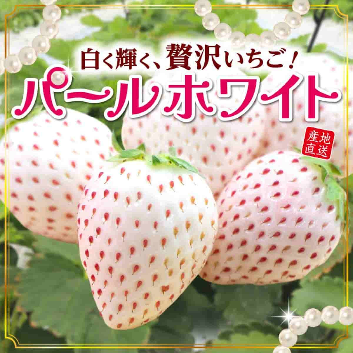 佐賀県産「パールホワイト」（約400g）