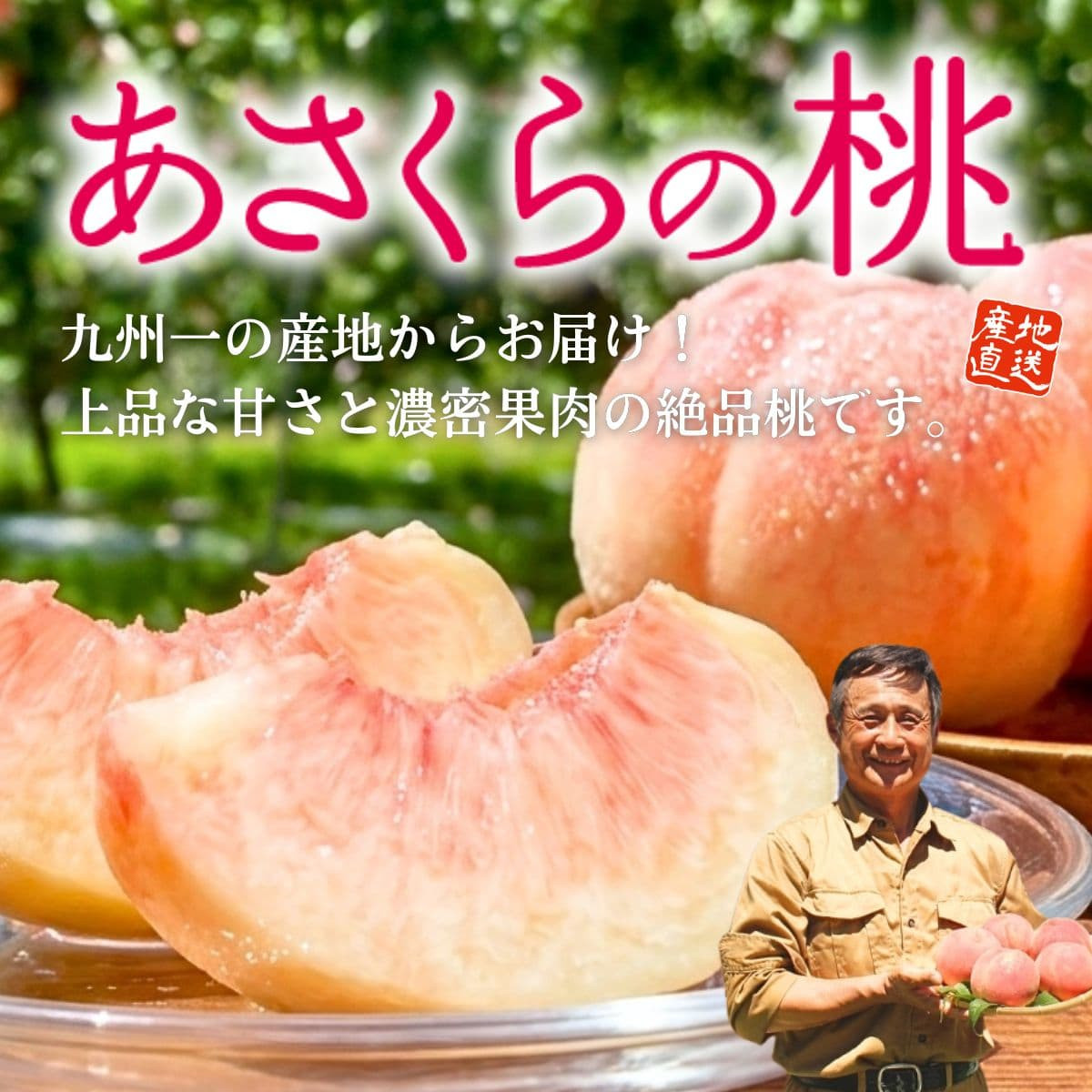 福岡県産「あさくらの桃」（約1.5kg）