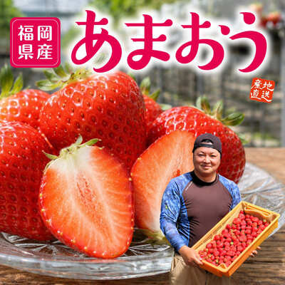 福岡県産「あまおう」 1箱（約400g）