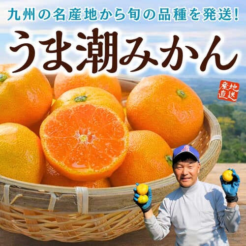 九州産「うま潮みかん」（約2.5kg）