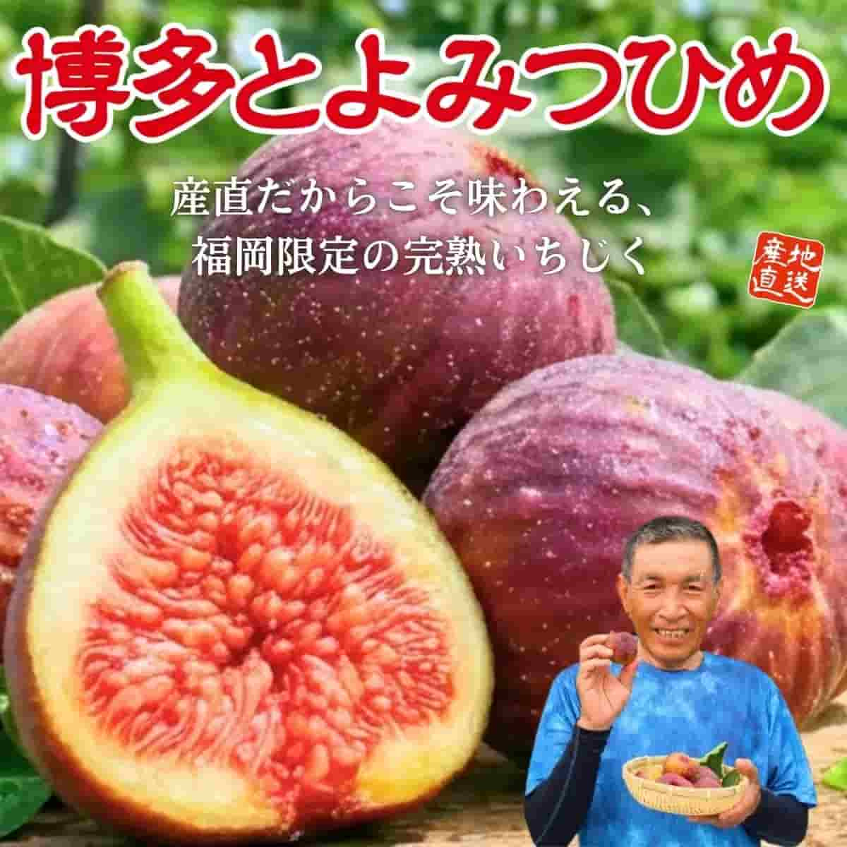 福岡県産「博多とよみつひめ」（約800～900g）