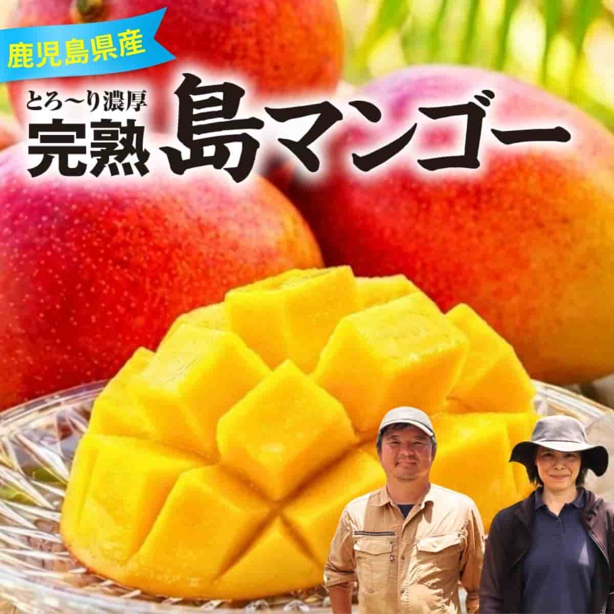 鹿児島県産「完熟 島マンゴー」（約1kg）