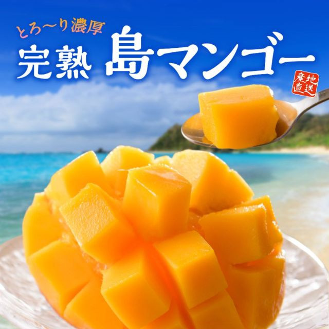 鹿児島県産「完熟 島マンゴー」（約1kg）