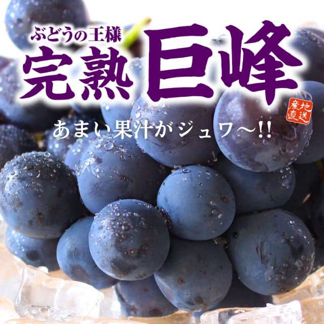 福岡特産「朝採り完熟巨峰」（約1.5kg）