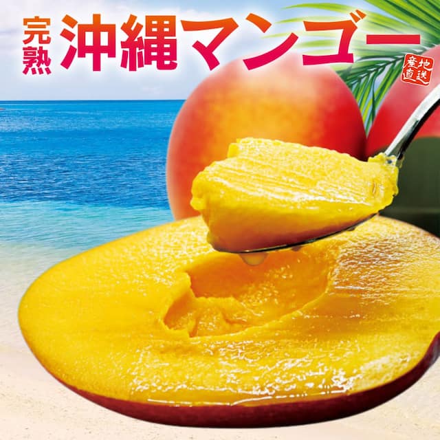 沖縄県産「完熟 沖縄マンゴー」（約1kg）