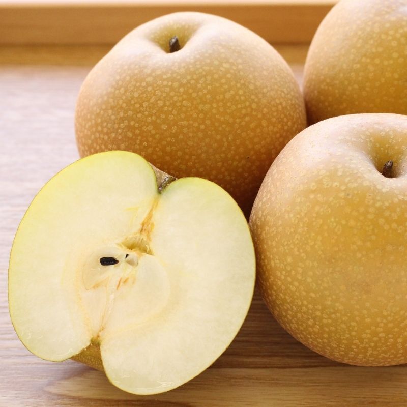 【定期お届け便9月】「大分の甘梨」（約2kg）